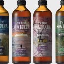 얼라이브01(alive01) 이미지