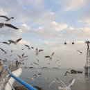 Re:4월 정기산행(부산~양산~~봄꽃여행)무박2일 이미지