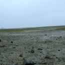 나문재관광농원 이미지