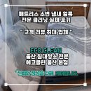 온양클린방역 | 울산 매트리스청소, 에코클린 반려동물 오염 전문 클리닝 실제 케어 후기