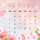 우리바른치과의원 운정점 | [공지] [운정치과] 우리바른치과(운정점) 6월 진료일정안내