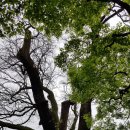 대천동-4 이미지