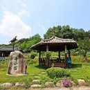 문경 만산재 Daum카페