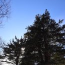 소나무 황토빌 이미지