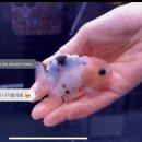 웨이블루 이미지