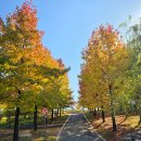 죽전공원 화장실 이미지