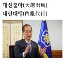 대선출마(大選出馬)내란대행(內亂代行) 이미지