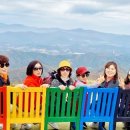 강원목장 이미지