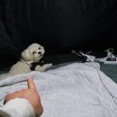 마음애고향 이미지