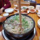 낙지소동
