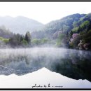 세량제 이미지
