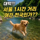 화악천 | 가평 화악천 캠핑장 이거 실화? 서울 1시간 거리에 이런 천국이