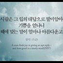 오늘의 '영어성경 사진'(901강) “적절한 대답과 때에 알맞은 말”(잠언 15장 23절) 이미지