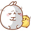 표선충전소 이미지