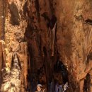 지례초등학교 이미지