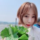 영광카타운 이미지