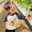 주공농장 이미지