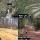 서울파크장 이미지