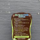 설악산오색마을 | 양양 캠핑장 설악산 캠핑장 추천 양양 오색산새소리캠핑장
