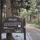 산꼭대기올라가 | [제주 여행 18] 제주 금오름에 올라가 본 후기