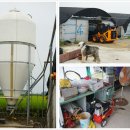 성실오리농장 이미지