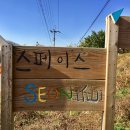 힐링 선 이미지