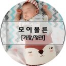 모이몰른홈플러스 이미지