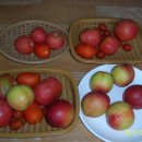 새재골가든 이미지