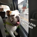 세븐일레븐 성지점 이미지