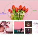 디자인빛나 이미지