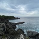 제주중문대포해안주상절리대 이미지