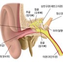 복음보청기 구로센터 이미지