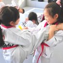 박성광온리원태권도 이미지