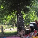 산속캠핑장 민박 이미지