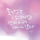 꿈냥꿈냥 이미지