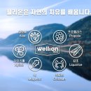 웰리온 이미지