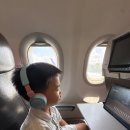 발리 당구클럽 | [라부안바조 여행] 발리에서 국내선타고 라부안바조_코모도 아야나 리조트