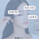 한올 더하기 네이버블로그