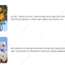 부산두레학교 (특수학교) 이미지