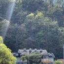 양촌랜드 이미지