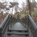 홍릉초교 이미지