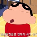 제주일상 이미지