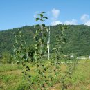 백담소나무계곡펜션 이미지