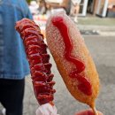 공설운동장 정문화장실 | 진해군항제 교통꿀팁 한정식맛집 군악의장페스티벌 후기