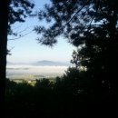 들꽃향기 이미지