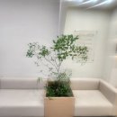 이로여성의원 이미지