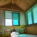 님 바래기 이미지