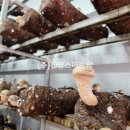 진명섬유 이미지