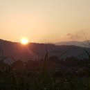 호명농장 이미지