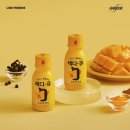 라인프렌즈 샐리💛 해피 샐리 데이 이벤트 후기 feat. 샐리신상